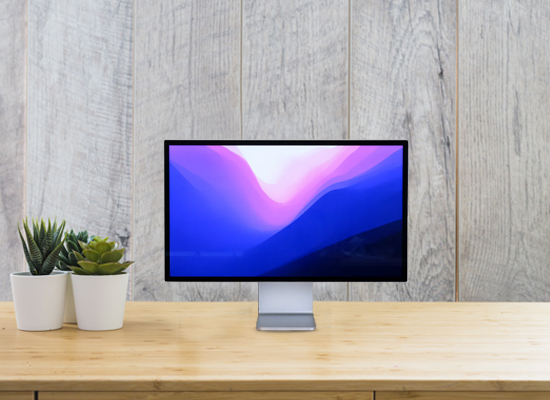 Simplifying Monitor Rentals: Vision IT Solutions